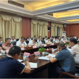 【视频】常宁召开“学起来，干起来，比起来，严起来”征求意见会