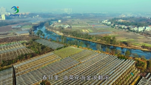 微信截图_20250115113909.png