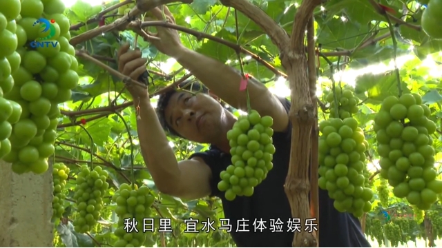 微信截图_20250115113945.png