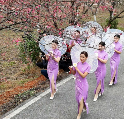 【视频】来常宁，赴一场浪漫樱花之旅！