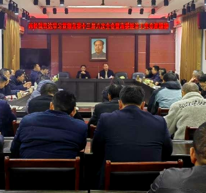 西岭镇传达贯彻中共常宁市第十三届委员会第八次全体会议暨市委经济工作会议精神