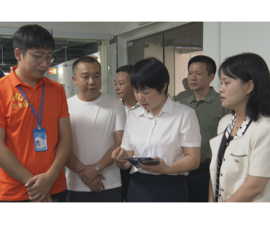 【视频】王一花牵头督办市十八届人大六次会议议案