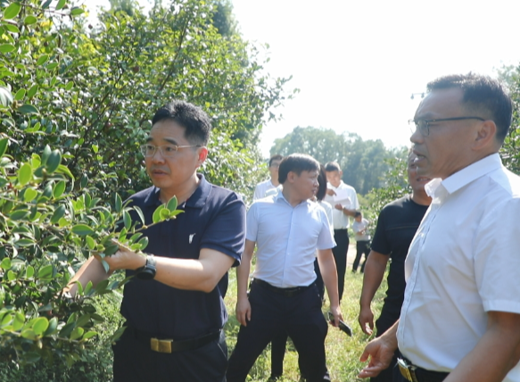 罗卫华：守牢安全底线 聚力乡村振兴 用心用情增进民生福祉