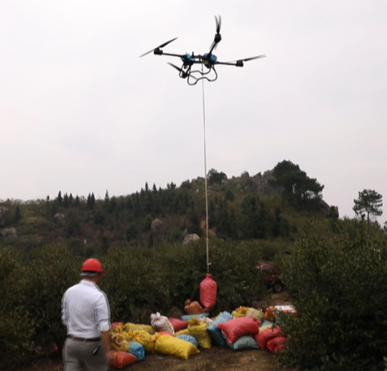 【视频】烟洲镇:茶果“坐”上无人机  跃向油茶产业新高地