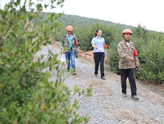 【视频】常宁:干群巡山守“金果” 油茶飘香话丰年
