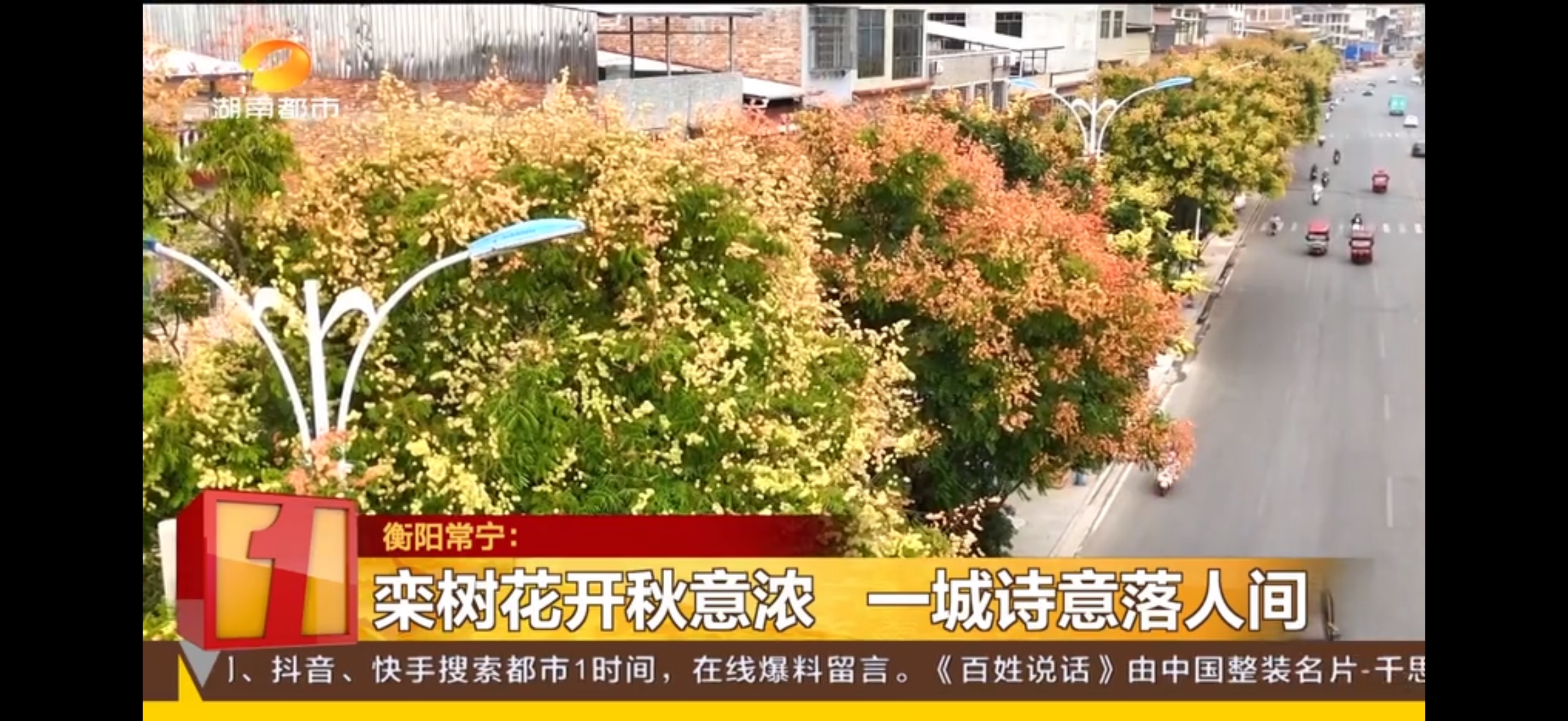 常宁花开.jpg
