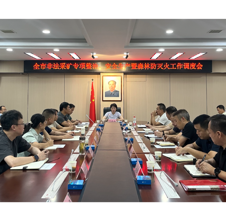 全市非法采矿专项整治、安全生产暨森林防灭火工作调度会召开 邓艳红参加