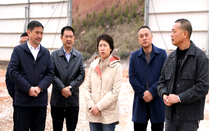 邓艳红调研督导安全生产与生态环境保护工作