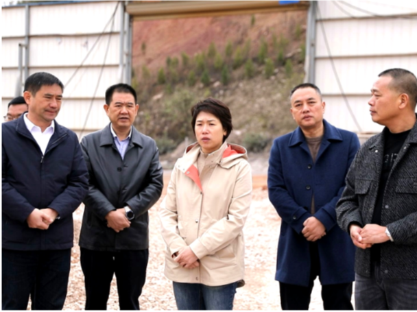 邓艳红调研督导安全生产与生态环境保护工作