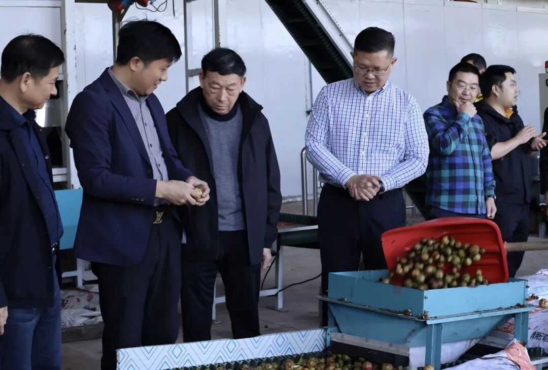 640 (2)_看图王.jpg 640 (2)_看图王.jpg