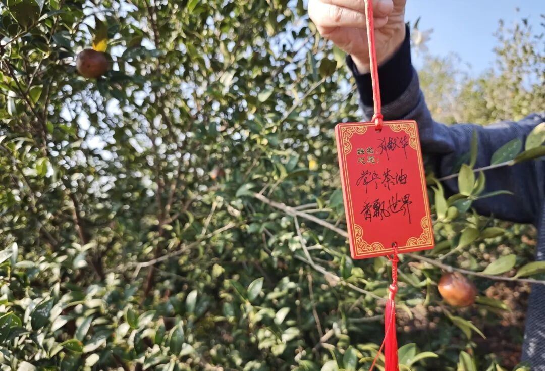 640 (10)_看图王_看图王.jpg 640 (10)_看图王_看图王.jpg