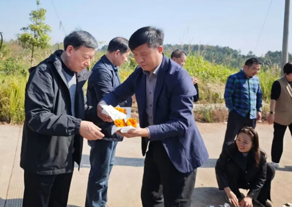 640 (4)_看图王_看图王.jpg 640 (4)_看图王_看图王.jpg