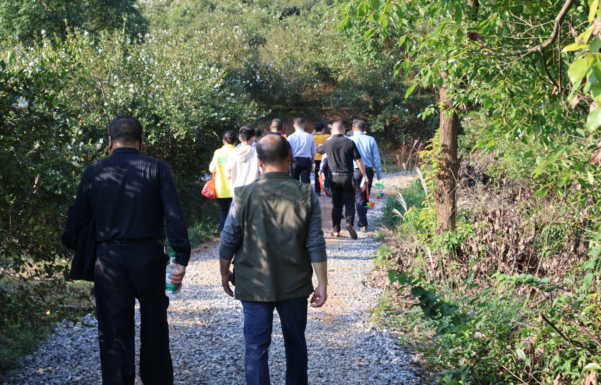 微信图片_2025-11-19_091838_676_看图王.jpg 微信图片_2025-11-19_091838_676_看图王.jpg