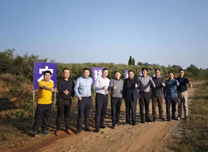 640 (11)_看图王_看图王.jpg 640 (11)_看图王_看图王.jpg