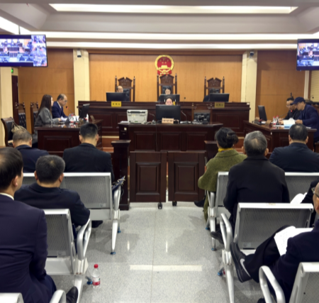 【视频】市人大常委会组织人大代表现场旁听法院庭审