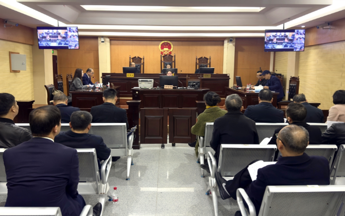 【视频】市人大常委会组织人大代表现场旁听法院庭审