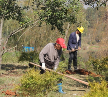 【城市微革命 幸福家门口(84)】北门湖公园:“换装”上新 家门口惬意加码
