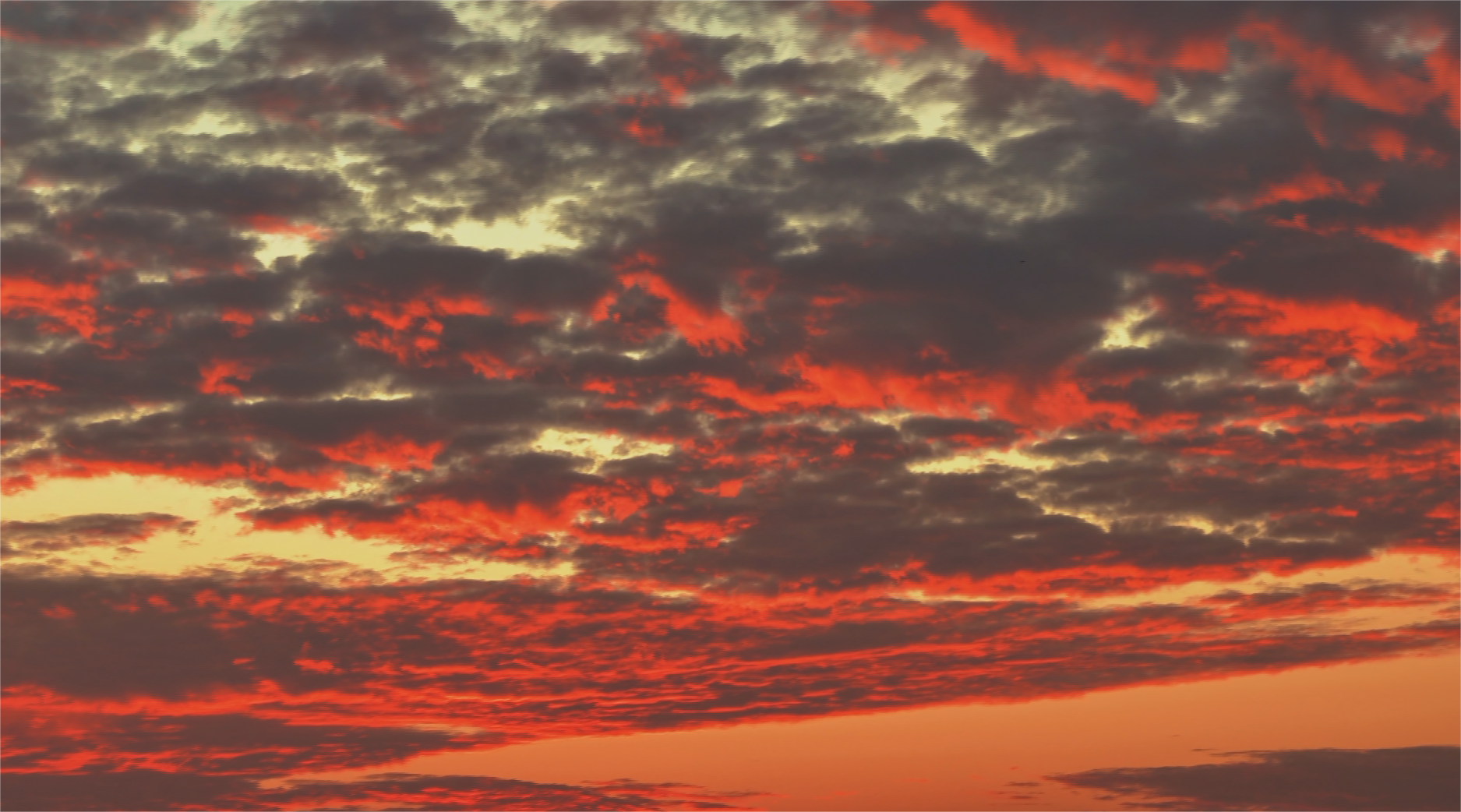 Still1124_00001(1)(1).png Still1124_00001(1)(1).png