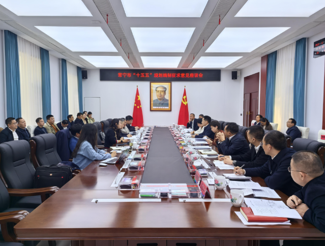 【视频】 常宁召开“十五五”规划编制征求意见座谈会