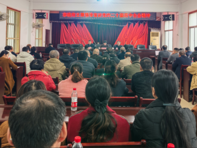 邓艳红到水口山镇宣讲党的二十届四中全会精神