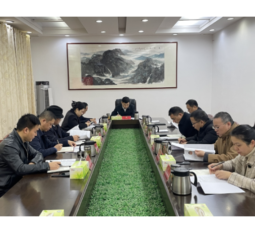 【视频】政协常宁市第十一届委员会第五十三次主席会议召开