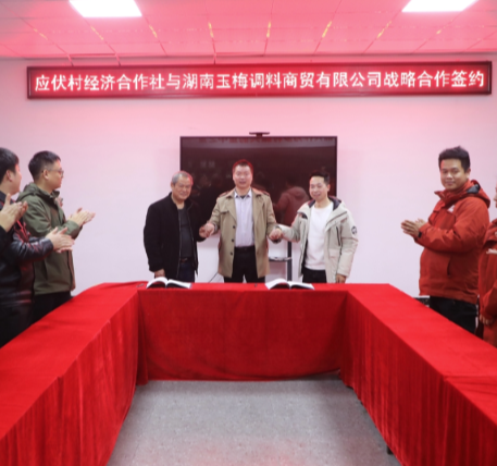 从4万羽到7万羽，应伏村鹌鹑蛋产业“订单农业”再升级！