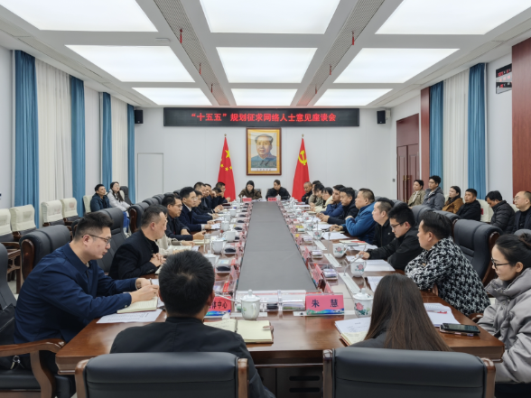 【视频】常宁市召开 “十五五”规划征求网络人士意见座谈会