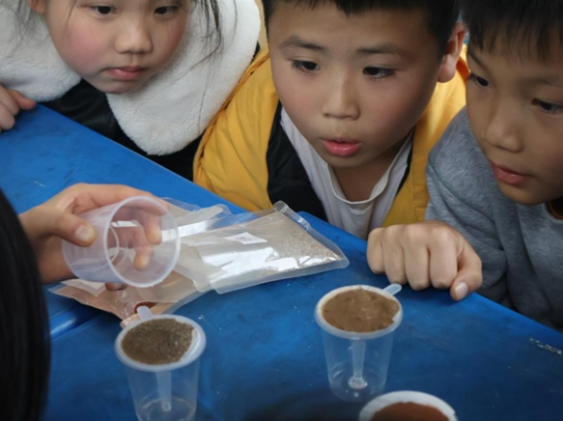 从指尖到心间 这堂“土壤课” 让生态理念在童心中扎根