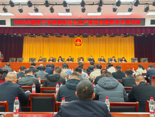 常宁市应安委会2025年第四次全体成员会议召开