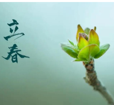 今日立春：四季轮回  又至花期