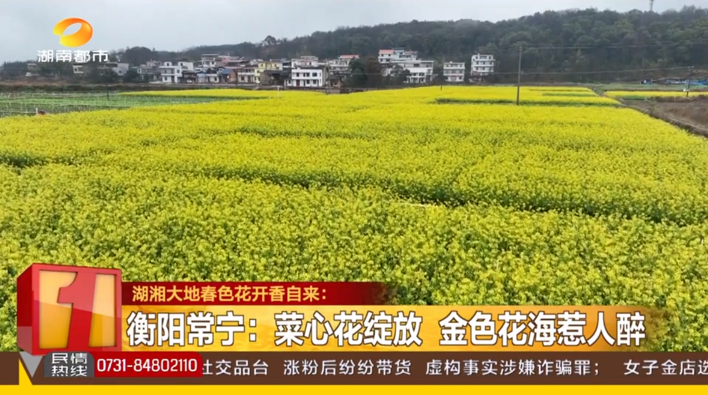微信截图_20250223104957.png