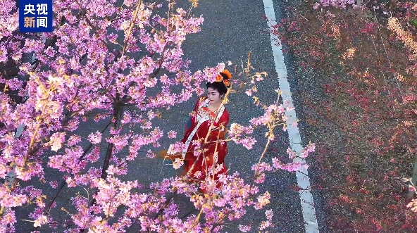 微信截图_20250311080911.png