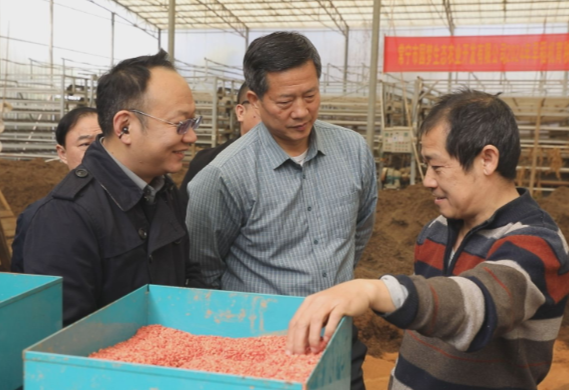 【视频】省农科院专家来常指导镉低积累水稻品种育苗种植 助力粮食安全生产