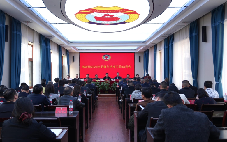 【视频】政协常宁市委员会2025年监督与协商工作动员会召开  段鸣参加