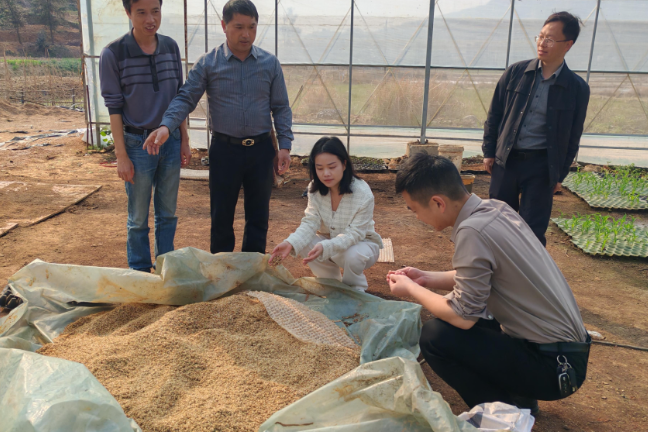 【视频】市领导到庙前镇调研乡村旅游、景区安全及研学旅游工作
