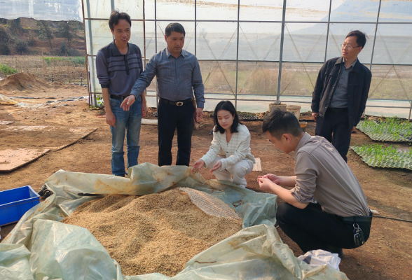 【视频】市领导到庙前镇调研乡村旅游、景区安全及研学旅游工作