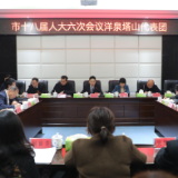 【视频】建言献策促发展 人大代表分团审议《政府工作报告》