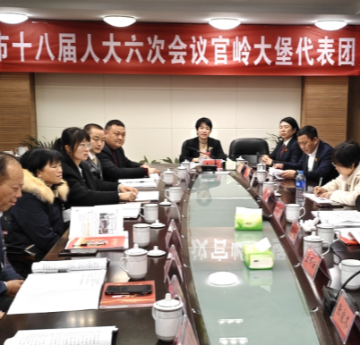 【视频】人大代表分团审议人大常委会工作报告和“两院”工作报告