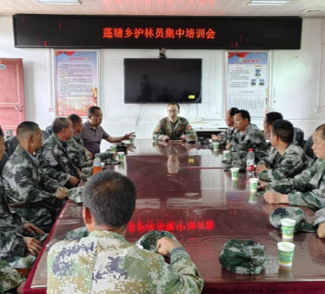 蓬塘乡：筑牢绿色防线，提升护林能力