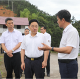 【视频】罗卫华到洋泉镇调研防汛备汛、农村违法建房等工作