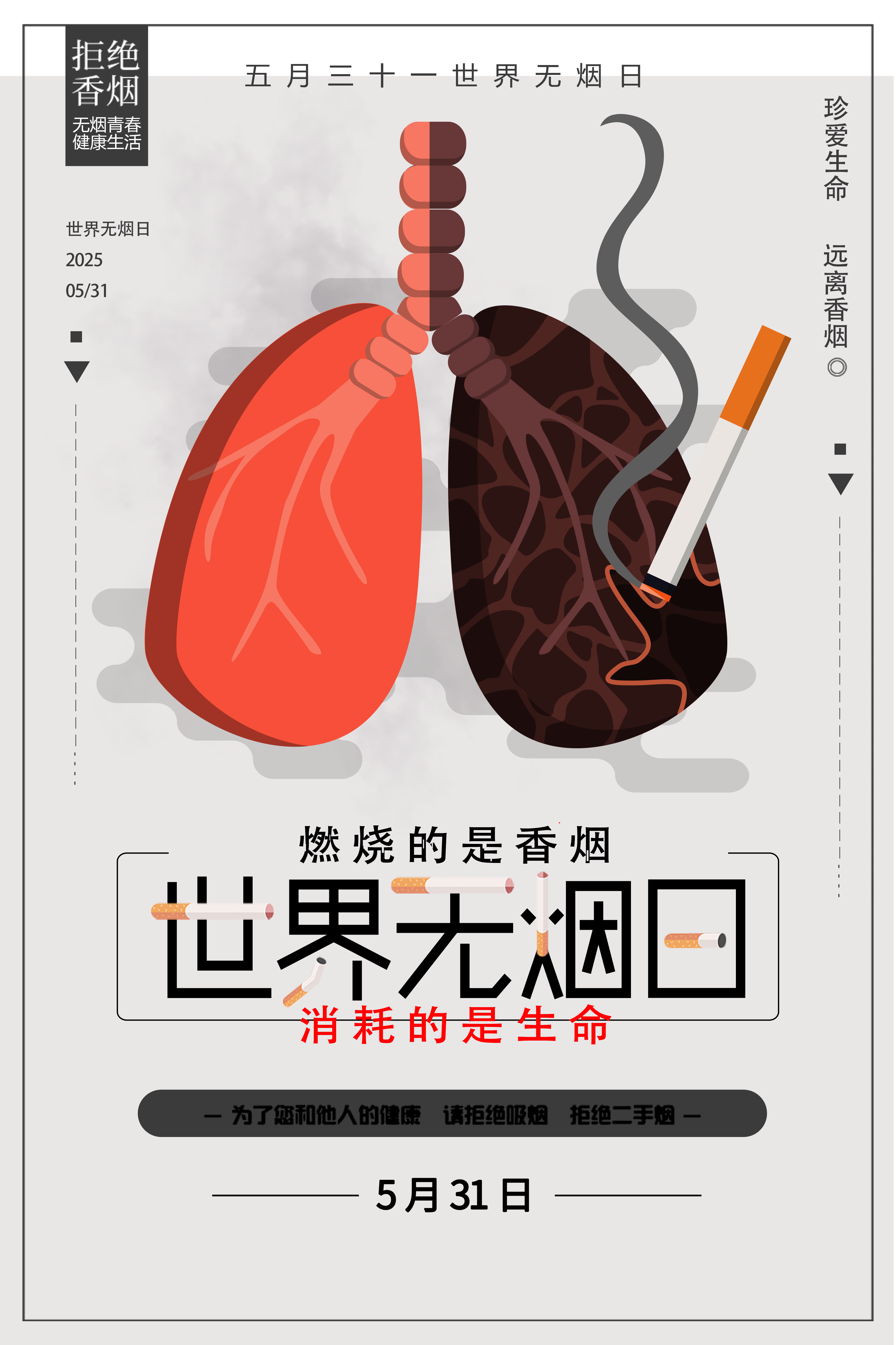 肺部对照.png