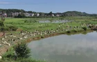 【视频】荫田镇小泉村：小荞头撬动大财富