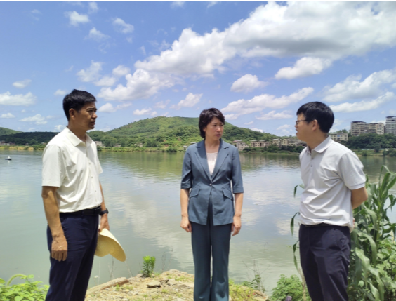 邓艳红到水口山镇巡河并调研防汛抗旱工作