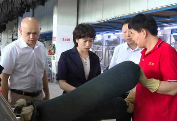 邓艳红到湘南纺织产业基地调研