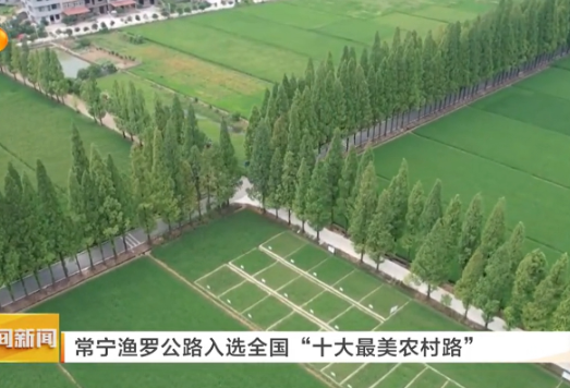 湖南卫视《午间新闻》报道常宁新闻《全国“十大最美农村路”渔罗公路：串起乡村振兴致富链》