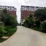 点亮民生路——培元街道用心化解村民出行难题