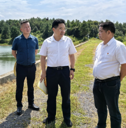 【视频】罗卫华到三角塘镇调研时强调：筑牢安全防线 夯实振兴根基