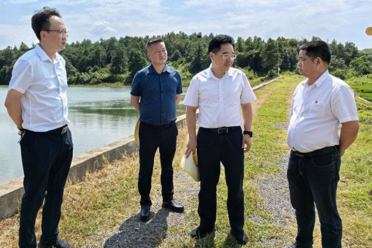 【视频】罗卫华到三角塘镇调研时强调：筑牢安全防线 夯实振兴根基