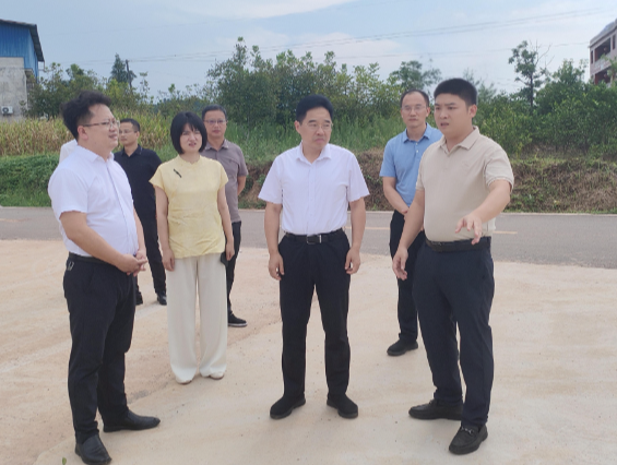 【视频】罗卫华在兰江乡调研时强调：奋勇争先 打造特色亮点 