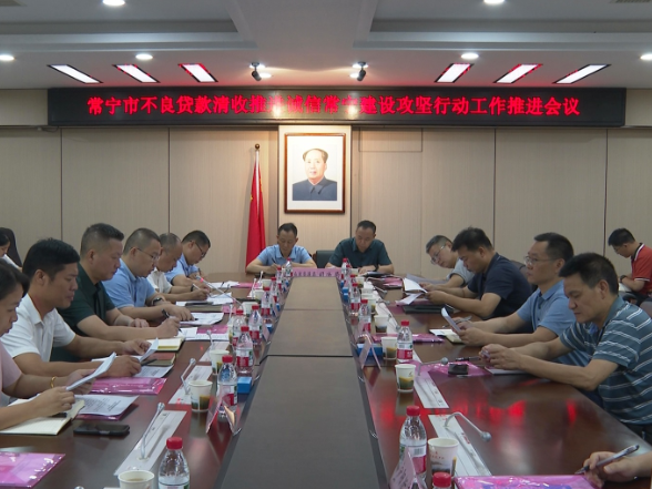 【视频】常宁剑指不良贷款 建设诚信高地